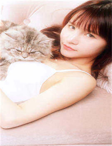 电视剧如意全集