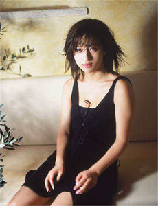 恋歌2012电视剧全集