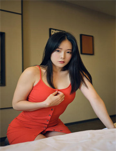 大唐女将樊梨花电视剧
