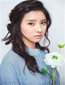 电视剧美梦人生